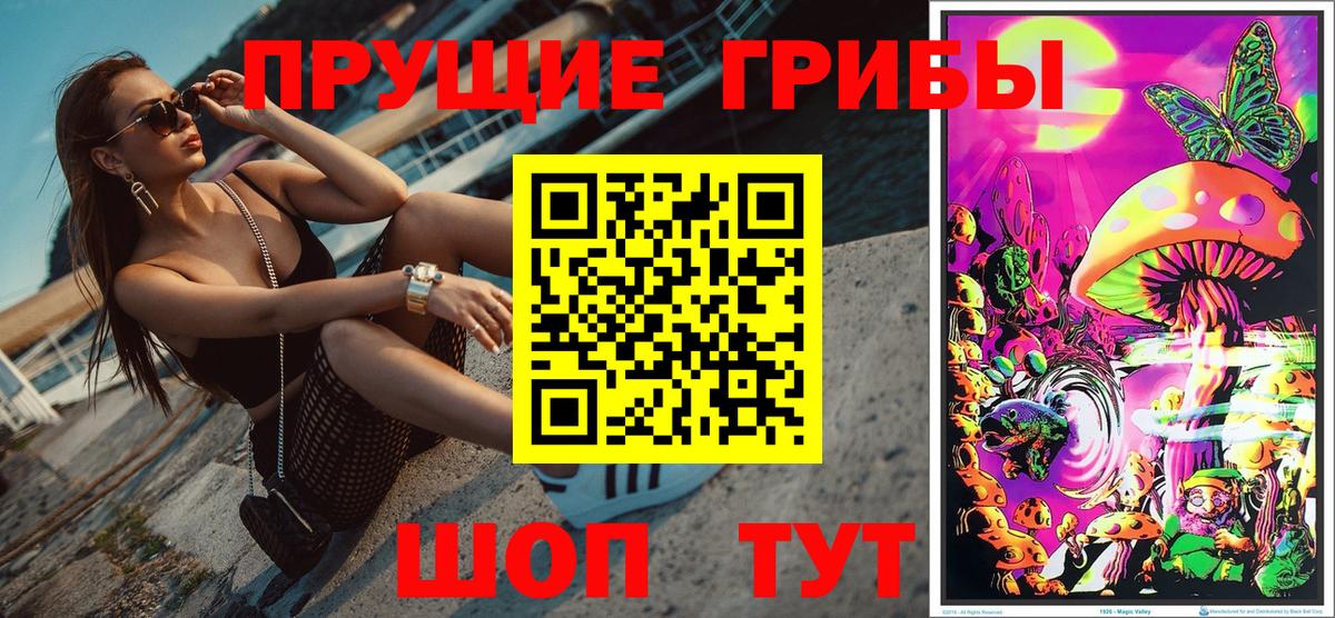 Псилоцибиновые грибы мицелий  Вход с VPN  Мурино 