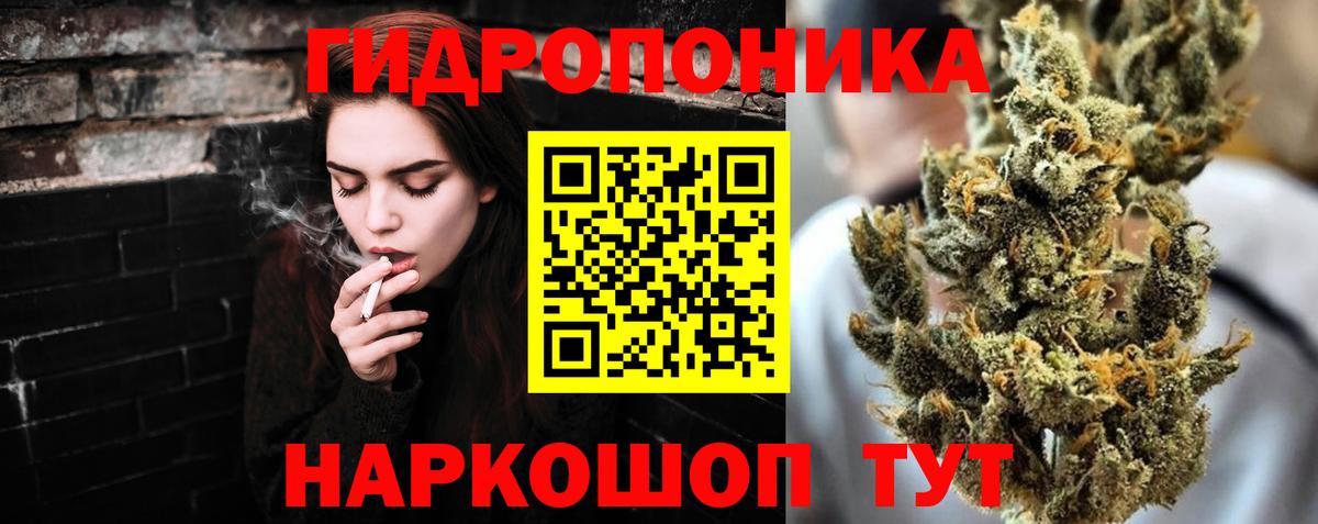 Шишки марихуана MAZAR  Каннабис план  Мурино  Конопля THC 21%  Вход с VPN 